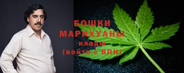амф Богданович