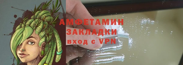 амф Богданович
