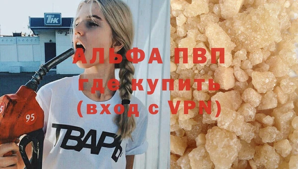 ECSTASY Богородск