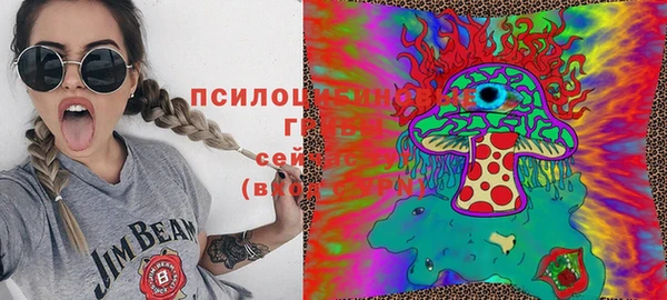 ECSTASY Богородск