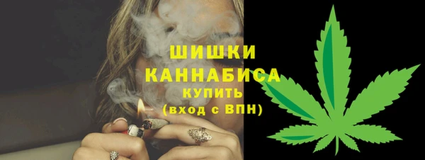 амф Богданович
