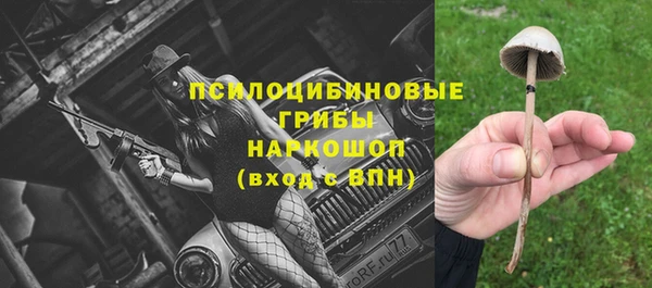 ECSTASY Богородск