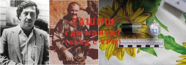 ECSTASY Богородск